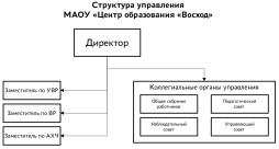 Структура и органы управления образовательной организации